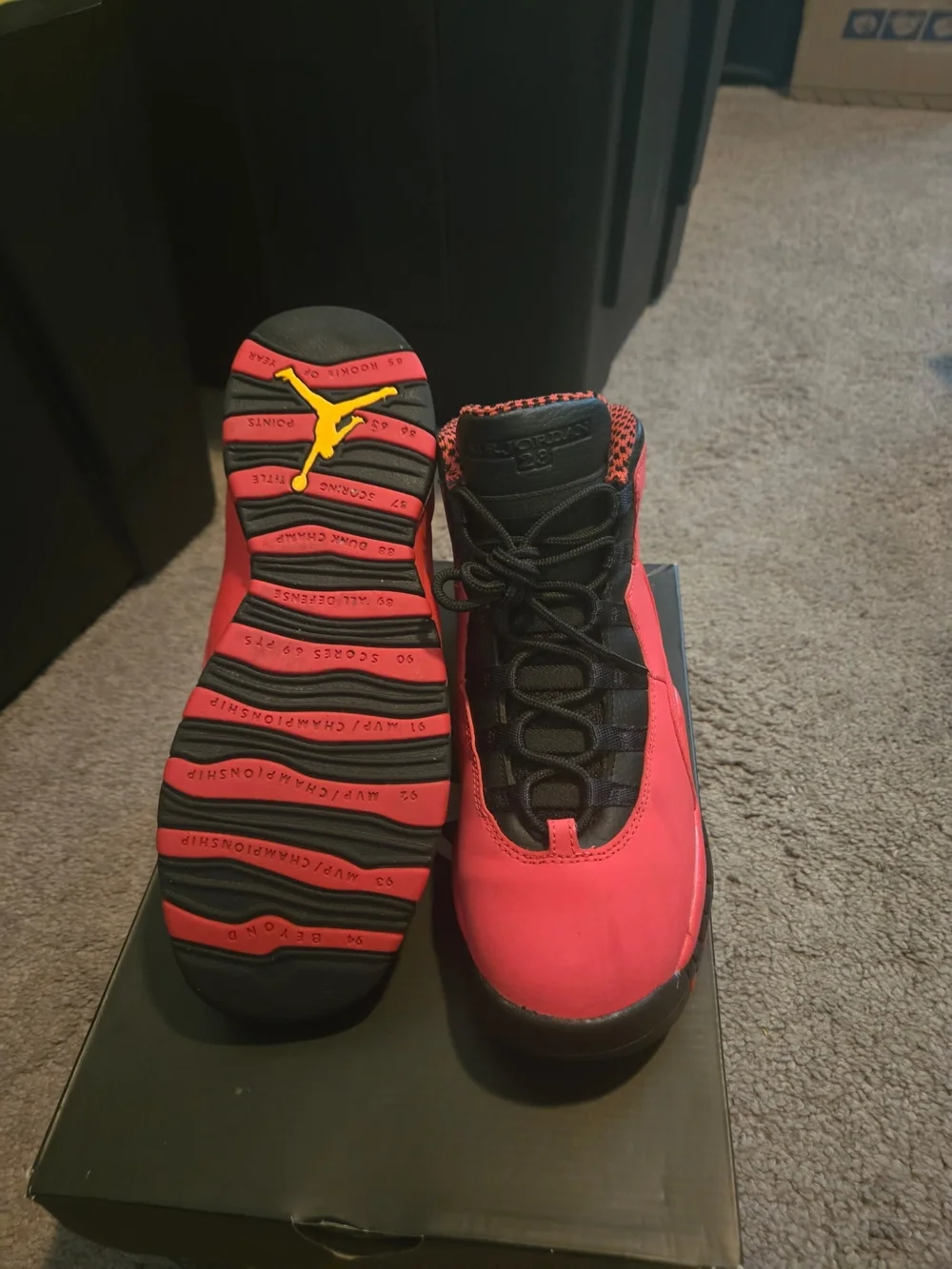 Air Jordan 10